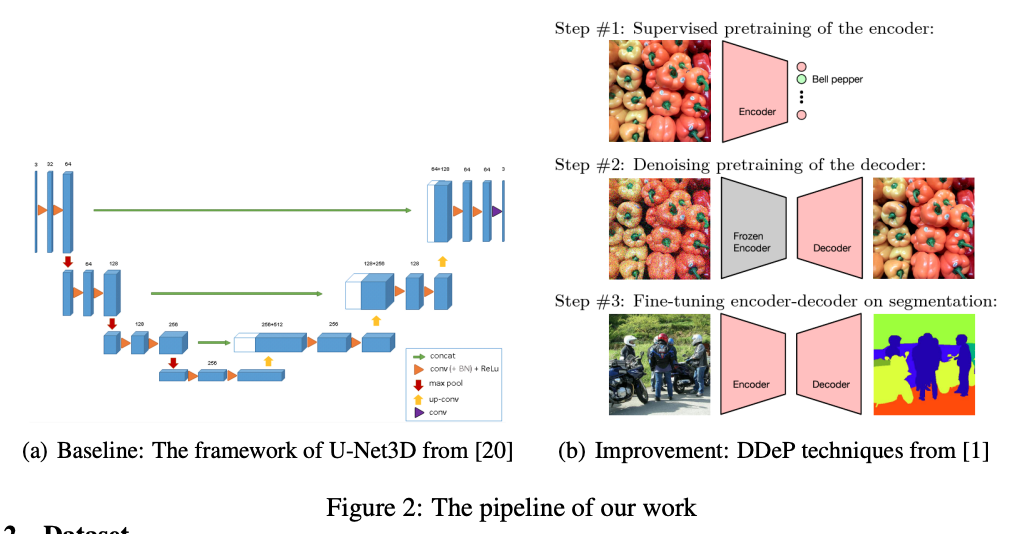 VAE Comparison Project